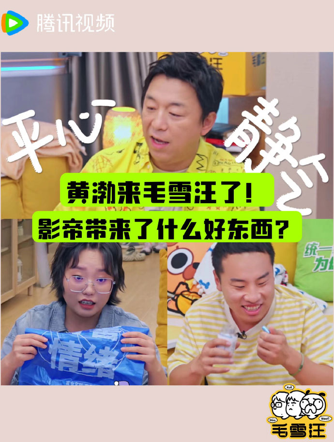 毛雪汪