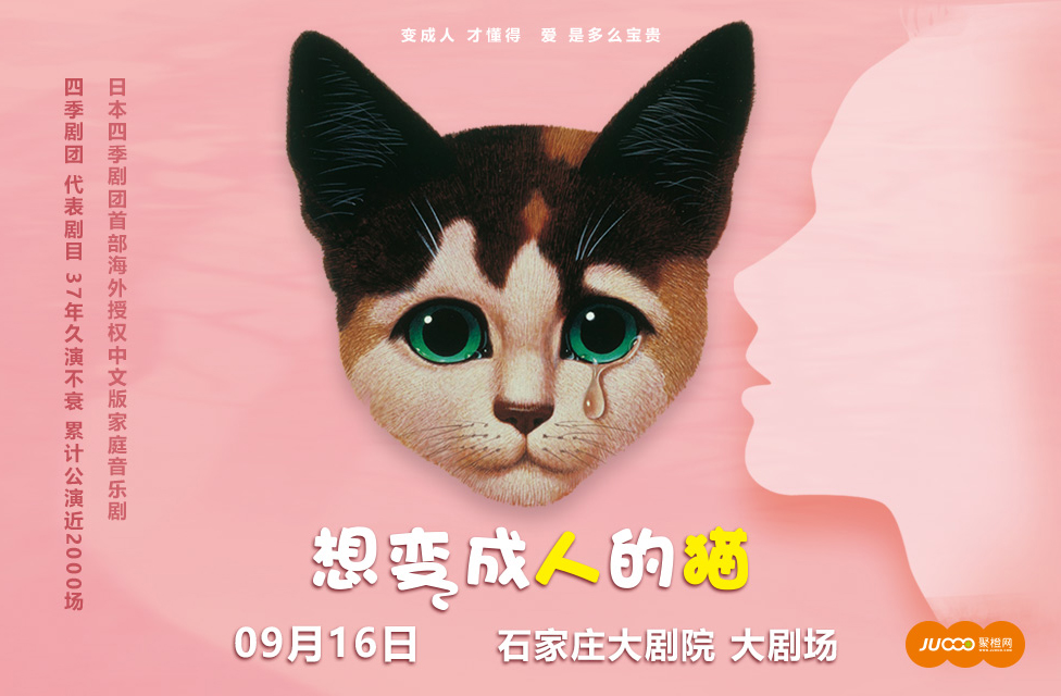 抢票丨音乐剧《想变成人的猫》中文版门票免费抢