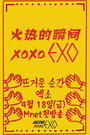 火热的瞬间XOXO EXO 2014 