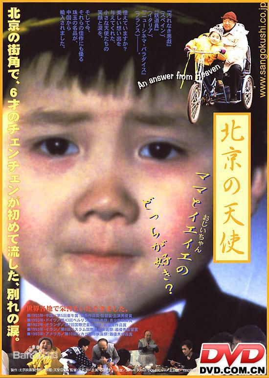 >明星 >>石晨                           个人资料