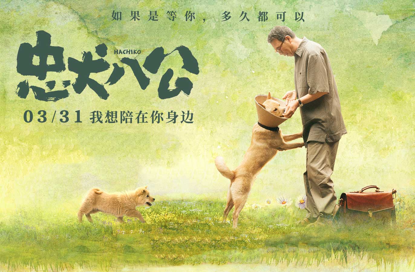 抢票丨电影《忠犬八公》全国免费抢票